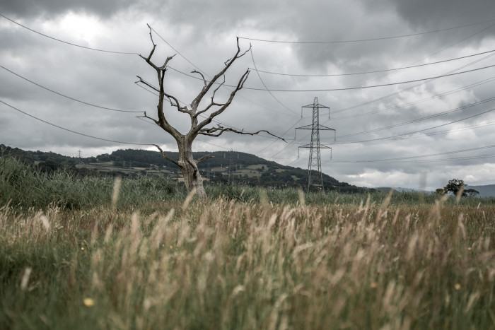 Electricitree