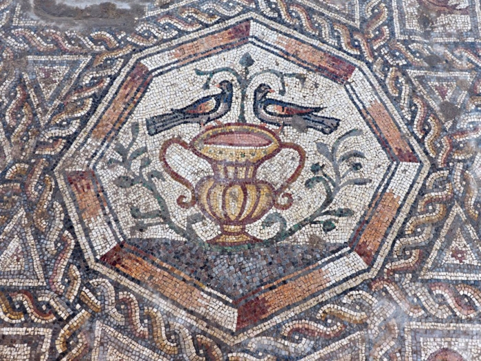 new-roman-moscaic-discovery-lod-israel-8