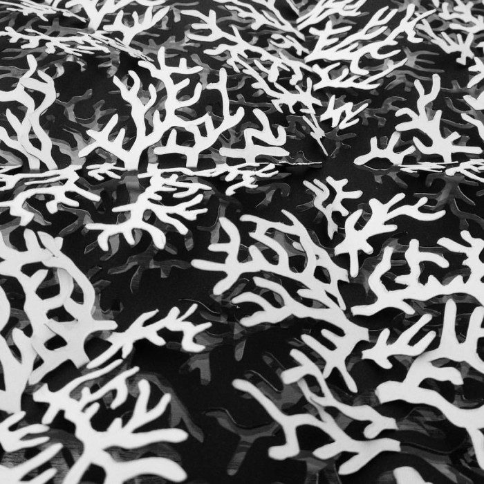 Detail of Coral Mandala