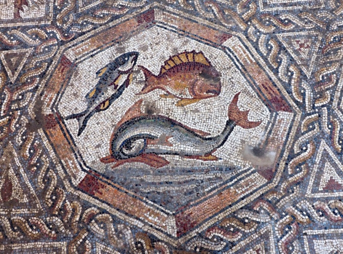 new-roman-moscaic-discovery-lod-israel-10