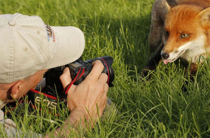 nature-photographer-behind-scenes-animals-18