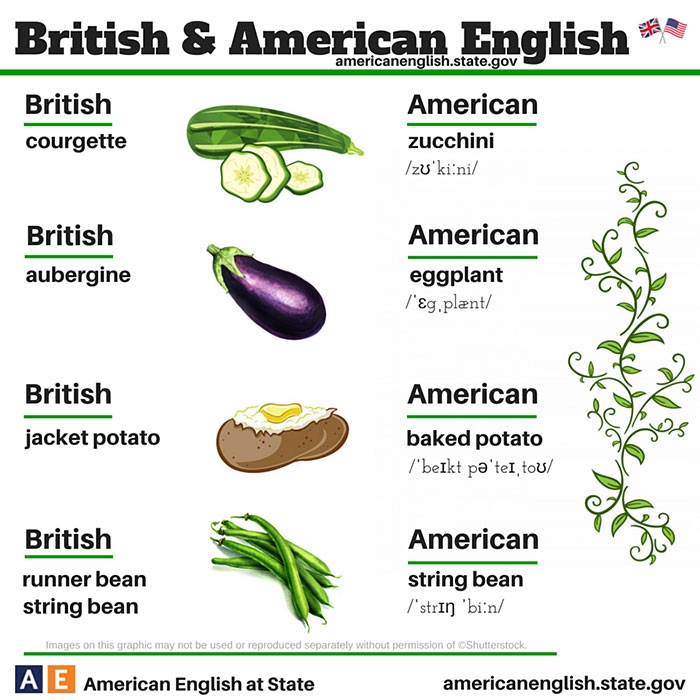 language-differences-british-american-english-24