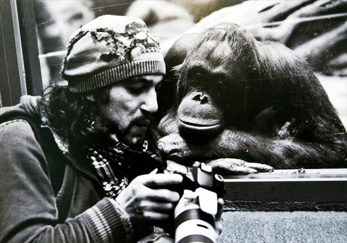 nature-photographer-behind-scenes-animals-29