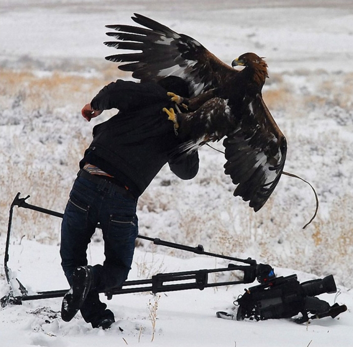 nature-photographer-behind-scenes-animals-31