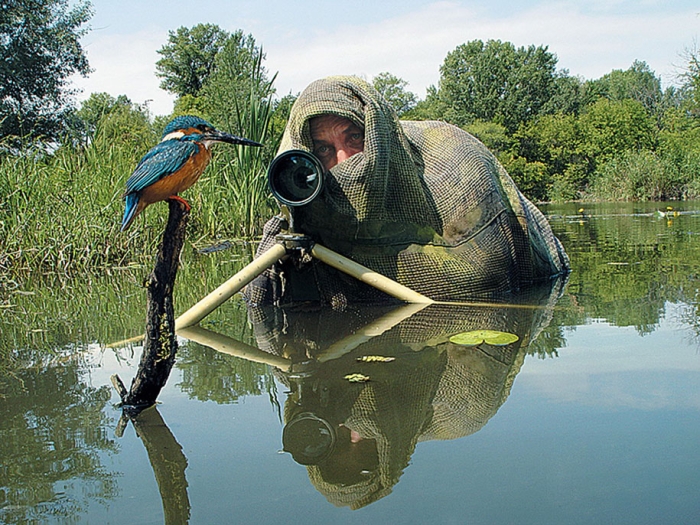nature-photographer-behind-scenes-animals-11