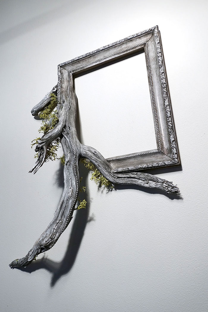 branches-frames-fusion-wood-darryl-cox-53