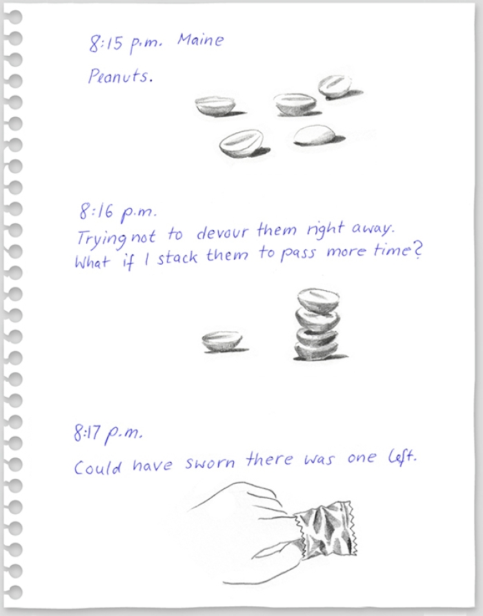 funny-new-york-berlin-flight-visual-diary-red-eye-christoph-niemann-11
