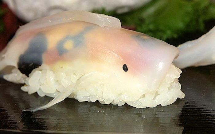 real-life-swimming-koi-sushi-tutorial-junskitchen-9