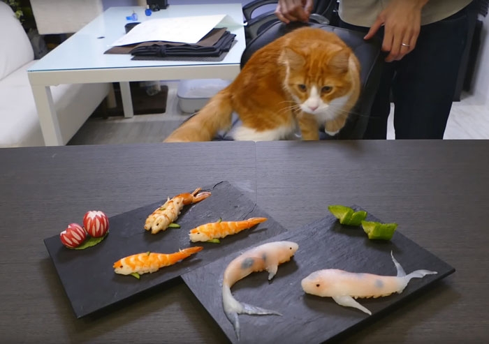 real-life-swimming-koi-sushi-tutorial-junskitchen-6