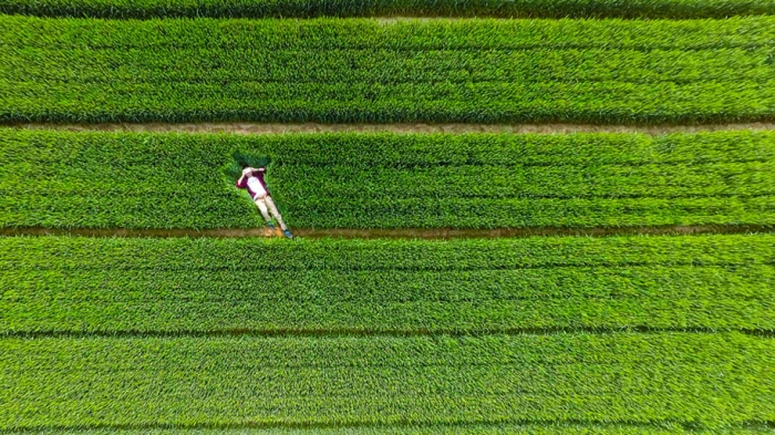 best-drone-pictures-2015-dronestagram-1
