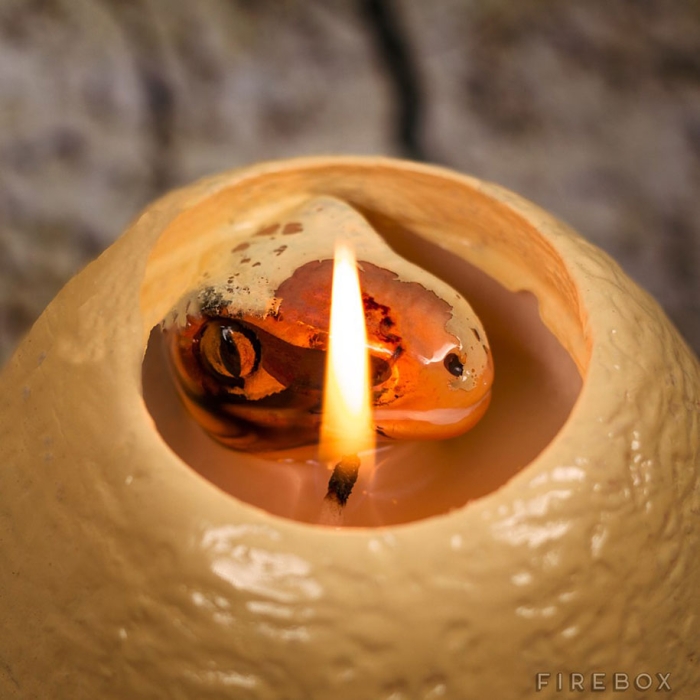 raptor-egg-hatching-dinosaur-candle-firebox-3
