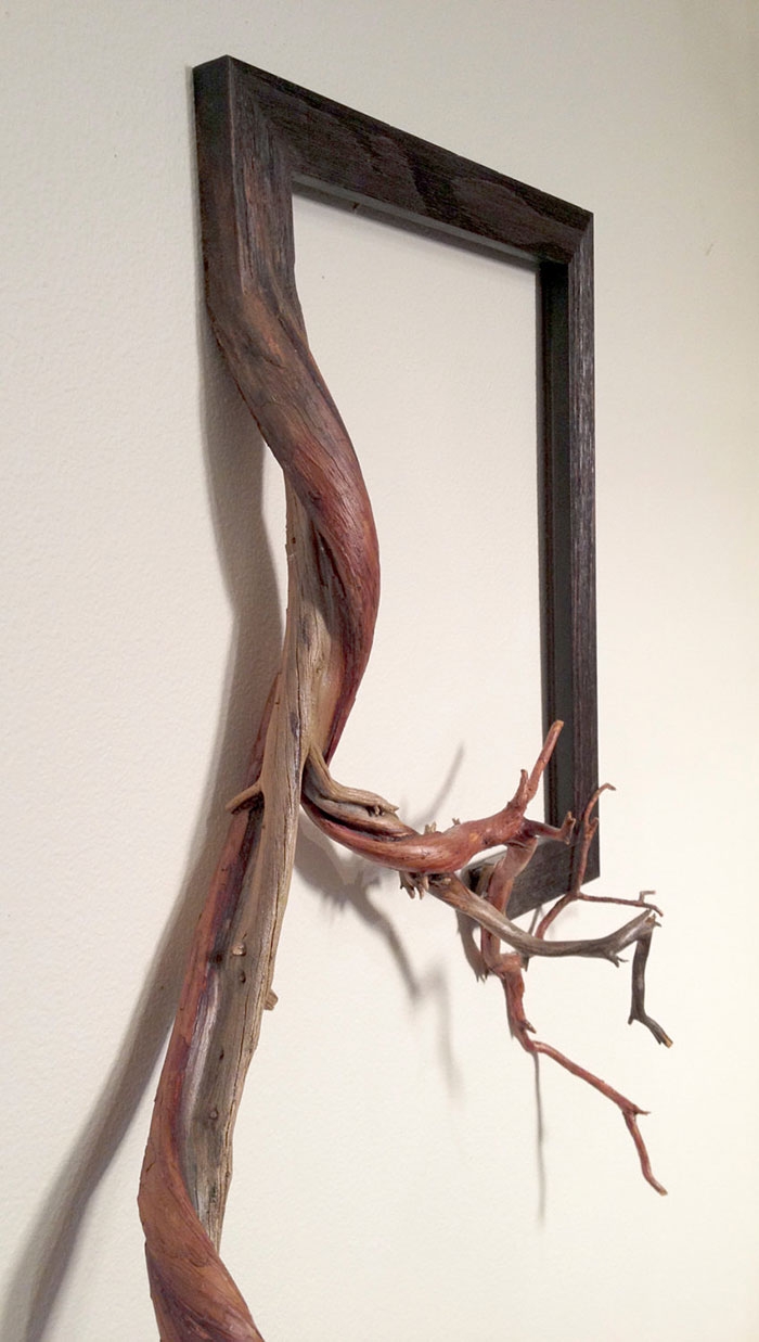 branches-frames-fusion-wood-darryl-cox-94