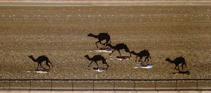 best-drone-pictures-2015-dronestagram-3