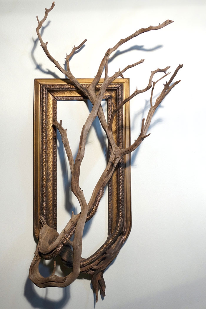 branches-frames-fusion-wood-darryl-cox-80