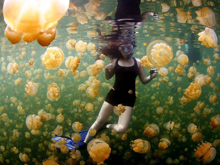 internet-favorite-picture-of-day-2015-national-geographic-8