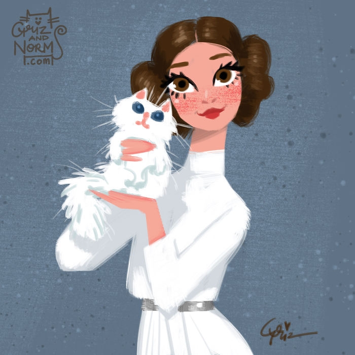 star-wars-series-cats-illustrations-griz-lemay-1
