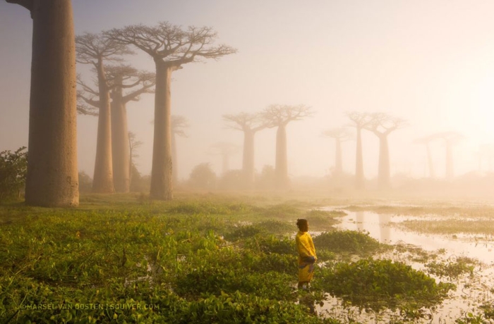 internet-favorite-picture-of-day-2015-national-geographic-4