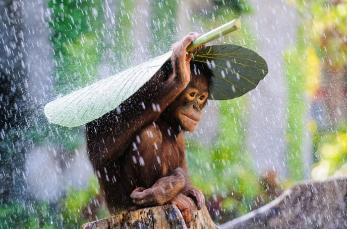 photography-winners-2015-national-geographic-photo-contest-11