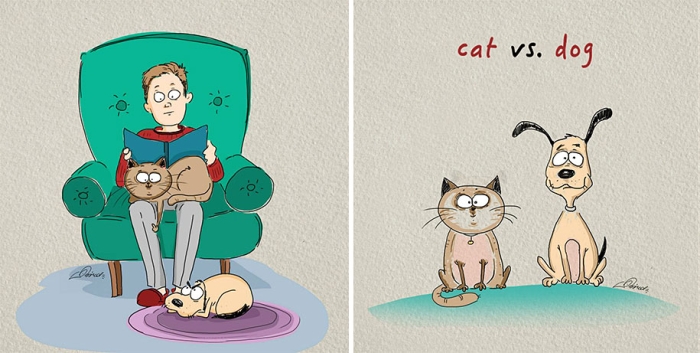 animals-pets-differences-cat-vs-dog-bird-born-6