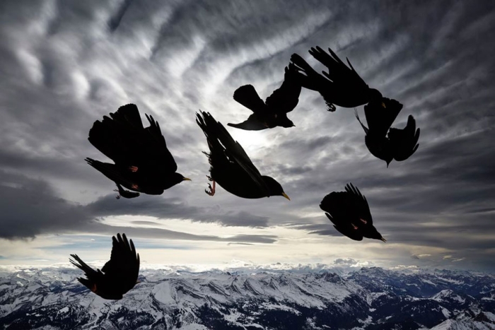 photography-winners-2015-national-geographic-photo-contest-12