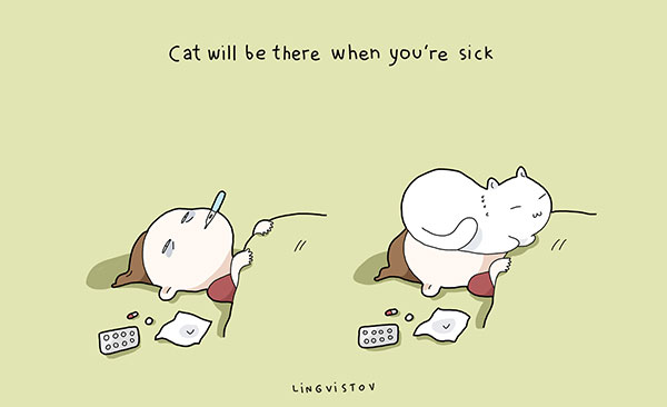 21 Reasons To Have A Cat