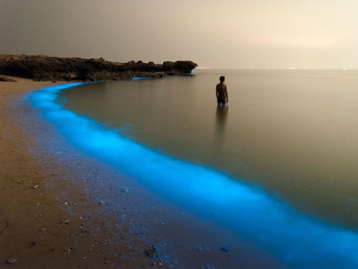 internet-favorite-picture-of-day-2015-national-geographic-12