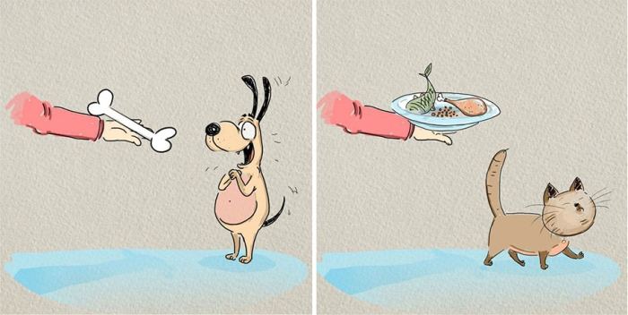 animals-pets-differences-cat-vs-dog-bird-born-5