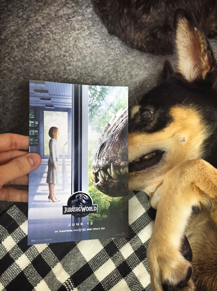 movie-posters-recreations-real-puppies-mashups-jaemy-choong-8