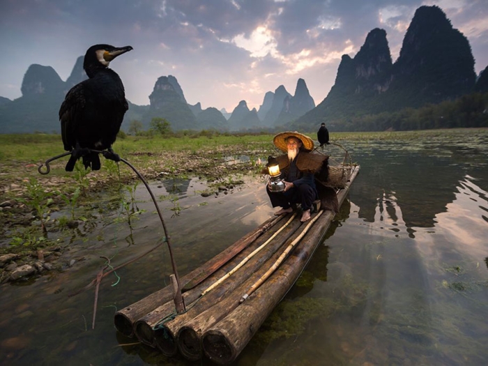 internet-favorite-picture-of-day-2015-national-geographic-10