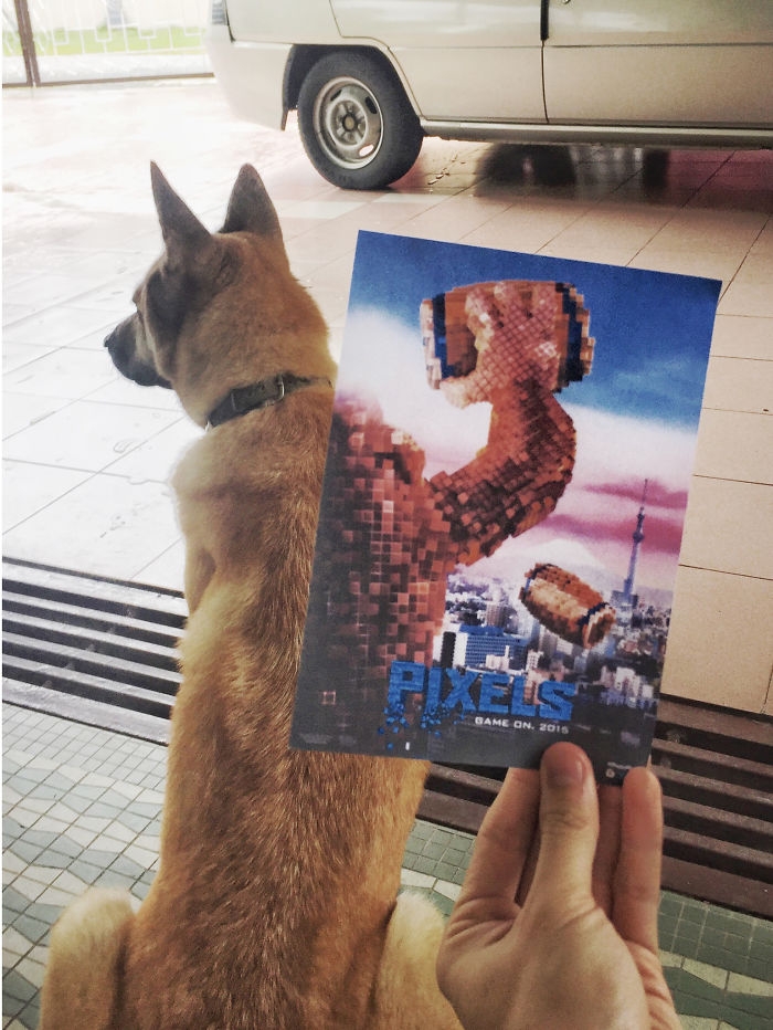 movie-posters-recreations-real-puppies-mashups-jaemy-choong-7