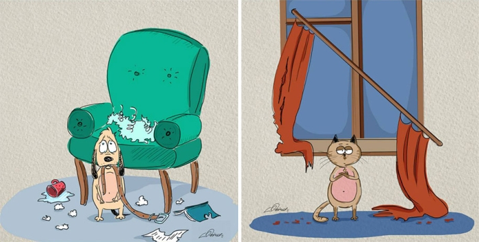 animals-pets-differences-cat-vs-dog-bird-born-2