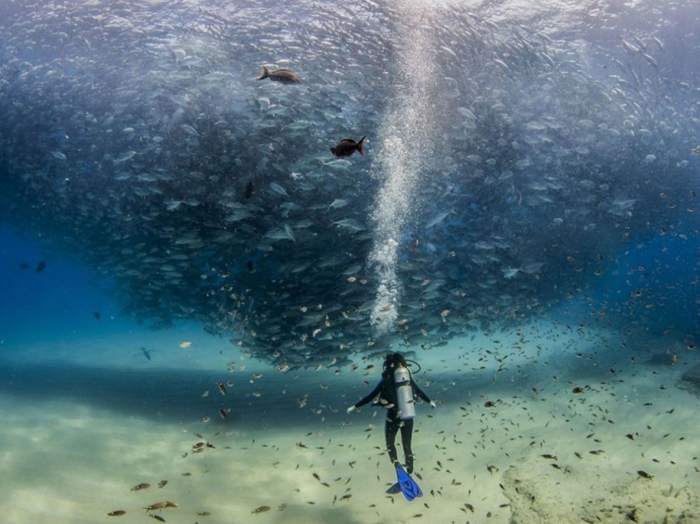 internet-favorite-picture-of-day-2015-national-geographic-19
