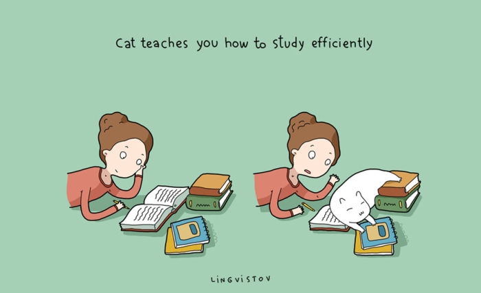 funny-illustrations-pets-benefits-of-having-a-cat-lingvistov-12