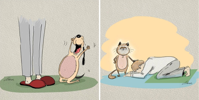 animals-pets-differences-cat-vs-dog-bird-born-7