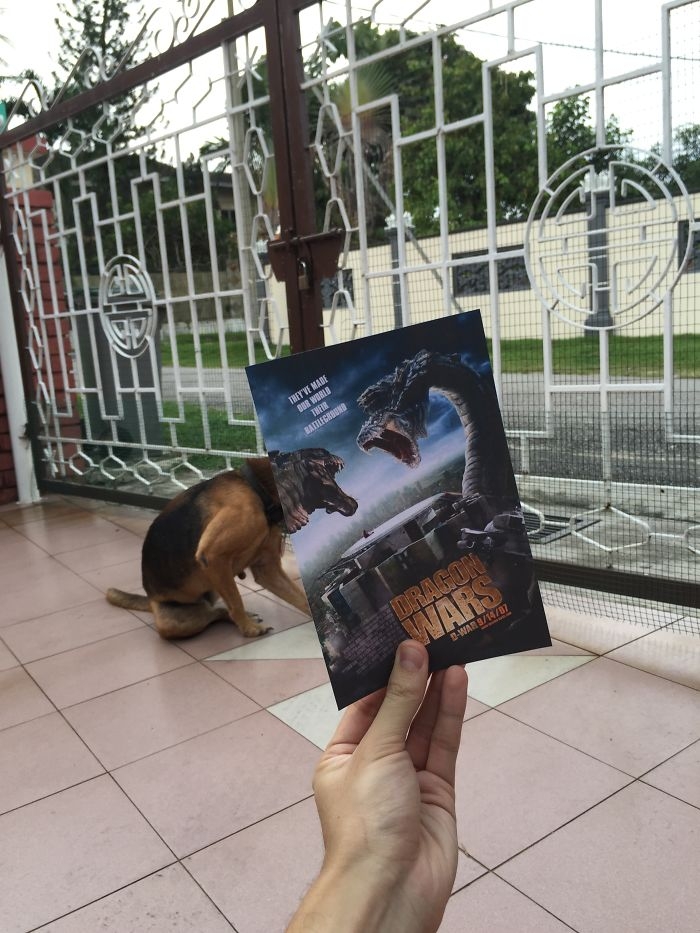 movie-posters-recreations-real-puppies-mashups-jaemy-choong-6