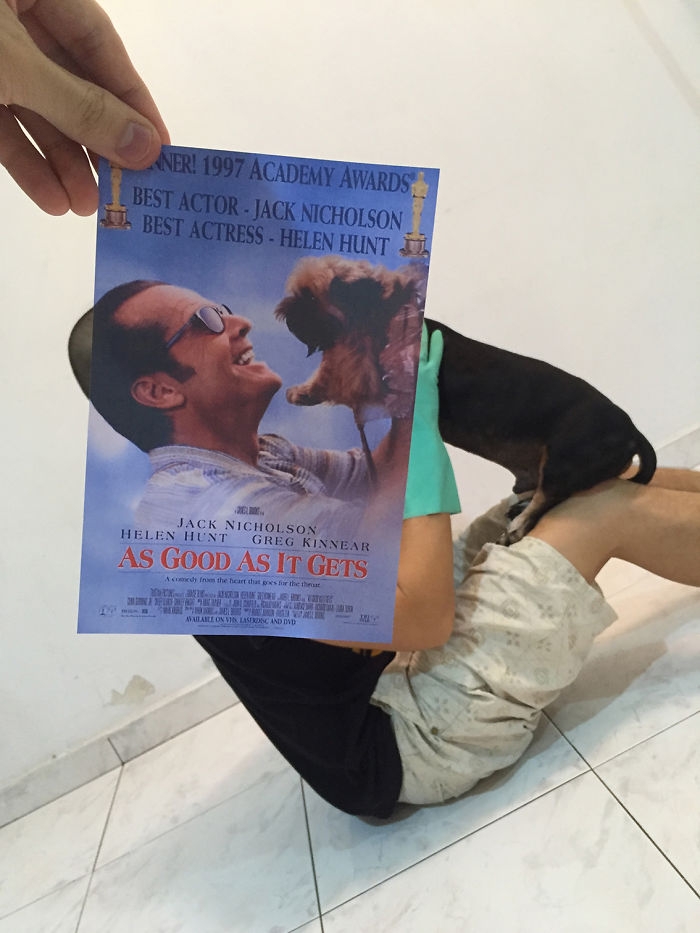 movie-posters-recreations-real-puppies-mashups-jaemy-choong-5