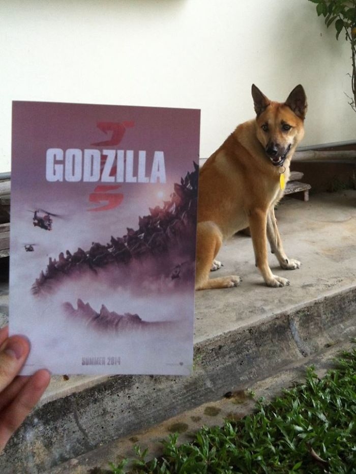movie-posters-recreations-real-puppies-mashups-jaemy-choong-2