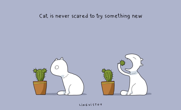 funny-illustrations-pets-benefits-of-having-a-cat-lingvistov-10