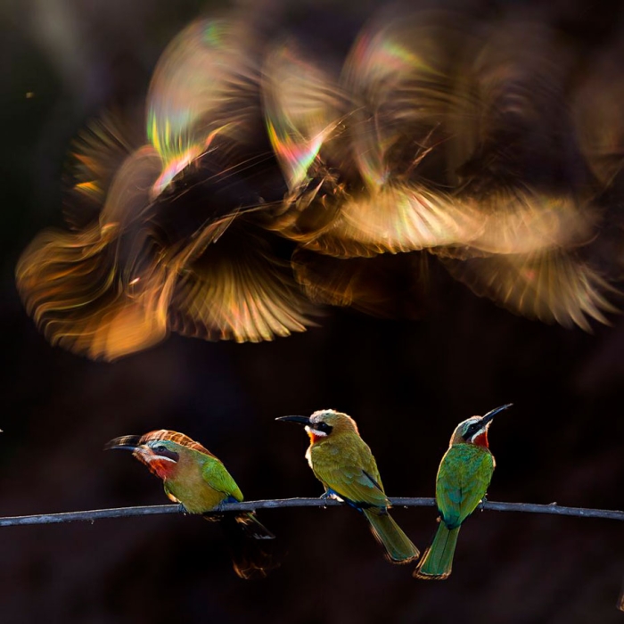 photography-winners-2015-national-geographic-photo-contest-3
