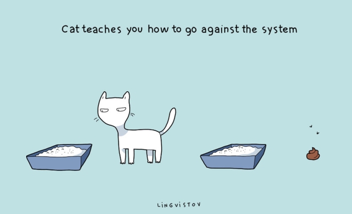 funny-illustrations-pets-benefits-of-having-a-cat-lingvistov-18