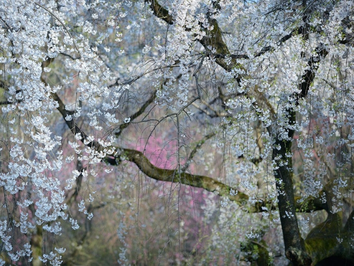 internet-favorite-picture-of-day-2015-national-geographic-15
