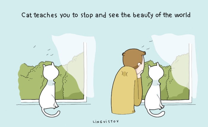 funny-illustrations-pets-benefits-of-having-a-cat-lingvistov-17
