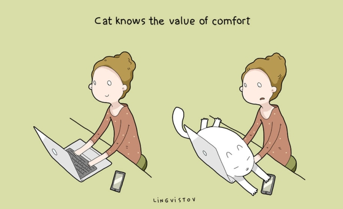 funny-illustrations-pets-benefits-of-having-a-cat-lingvistov-16