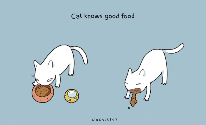 funny-illustrations-pets-benefits-of-having-a-cat-lingvistov-15