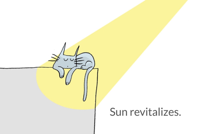 illustrations-21-lessons-cats-lisa-swerling-ralph-lazar-5