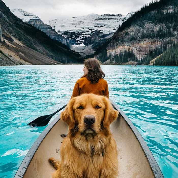 travelling-dog-aspen-hunter-lawrence-14