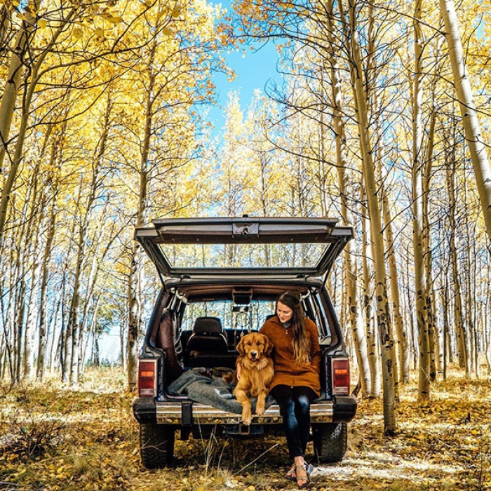 travelling-dog-aspen-hunter-lawrence-11