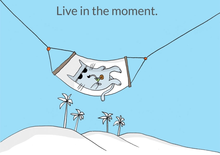 illustrations-21-lessons-cats-lisa-swerling-ralph-lazar-12