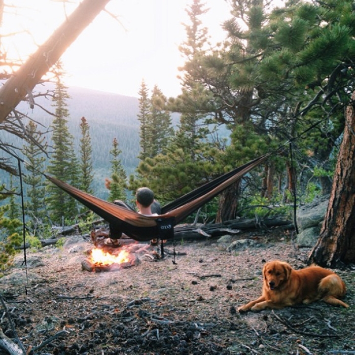 travelling-dog-aspen-hunter-lawrence-4