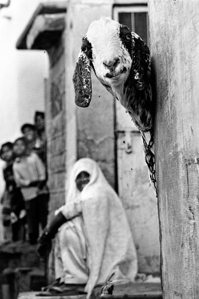 half-blind-one-eye-photographer-walter-rothwell-2